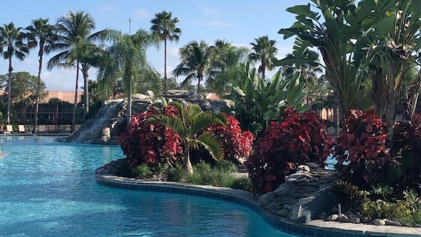 A clear blue pool surrounded by tropical plants and palm trees. - Well-appointed condo with a large lanai, outdoor kitchen and enclosed garage. (Naples)