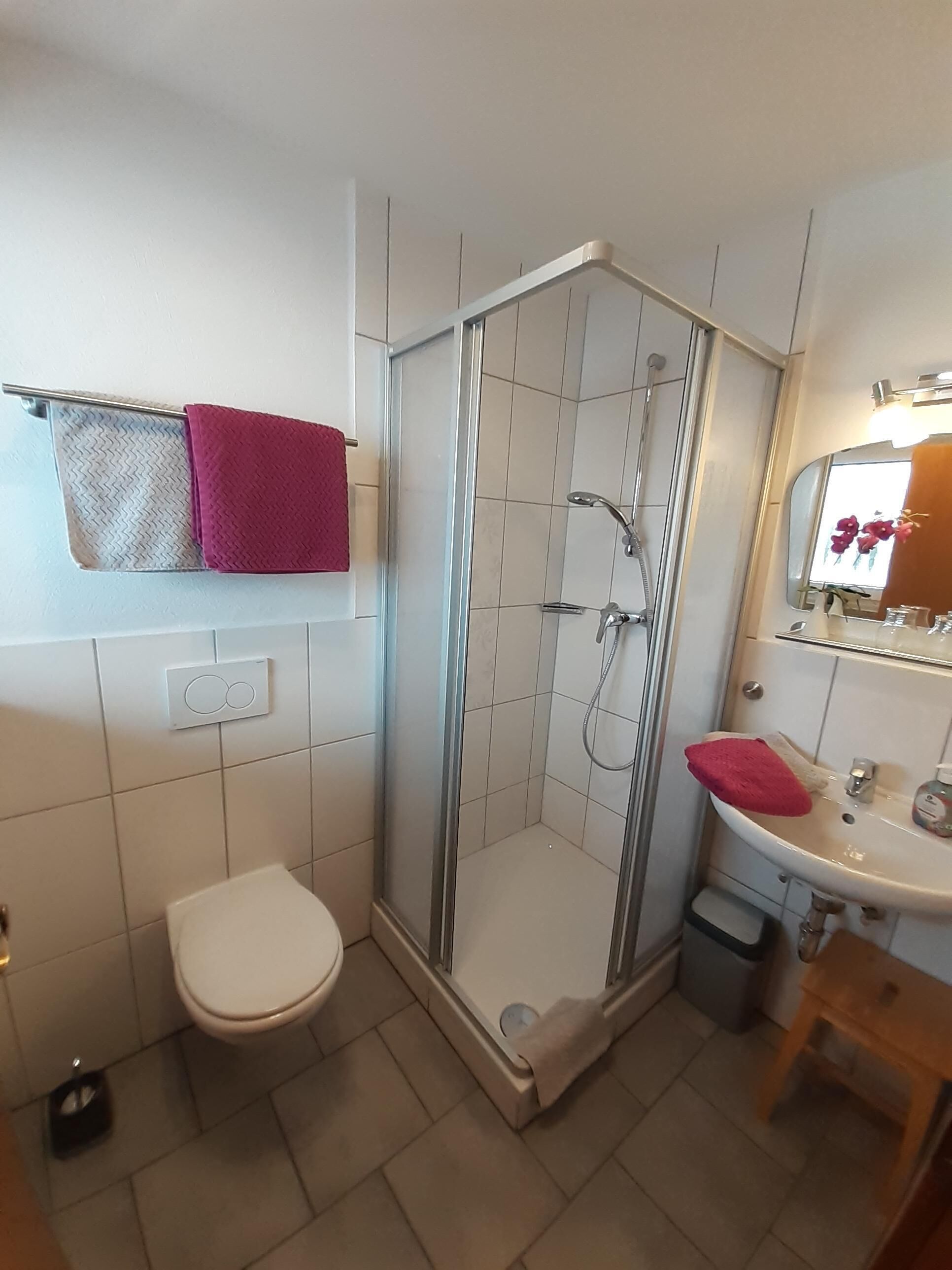 A bathroom with a shower, toilet, sink, and a mirror.