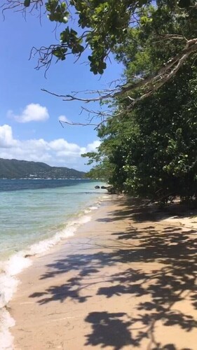 Studio avec terrasse à 50m de la plage (idéal confinement)