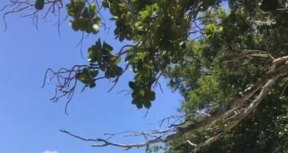 Studio avec terrasse à 50m de la plage (idéal confinement)