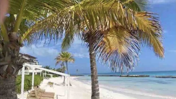 Una playa con un quiosco blanco, palmeras y agua cristalina.