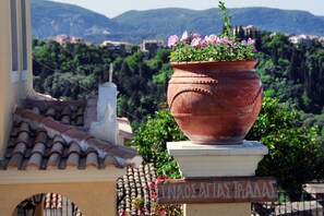 Traditional Townhome | Garden view