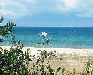 Playa