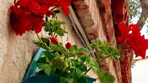 A wall-mounted planter with red flowers, a blue and orange planter, and a small white lantern. - Yesil Konak Ayvalik (Ayvalik)