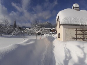 Property grounds - Apartment Edelweiß 30sqm, balcony, kitchenette, 1 bedroom and 1 bed-sitting room, WLAN (Ruhpolding)