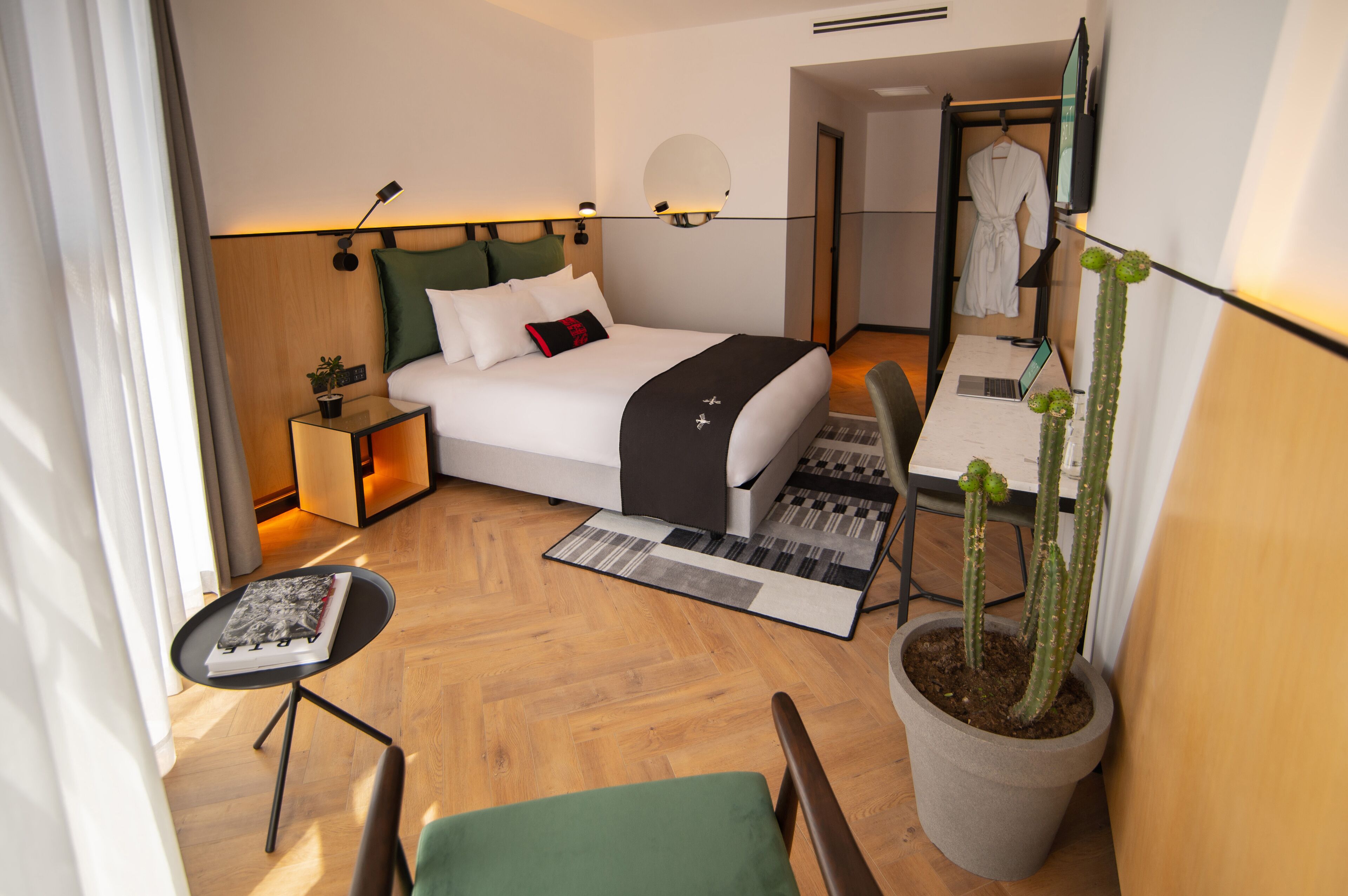 A modern hotel room with a bed, bedside table, lamp, and a potted cactus.