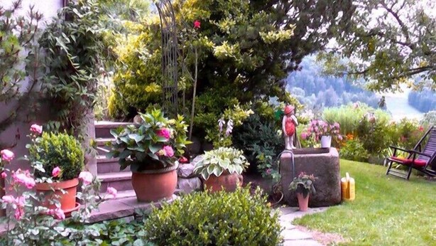 Ein Garten mit Kübelpflanzen, einer Statue und einem Stuhl.