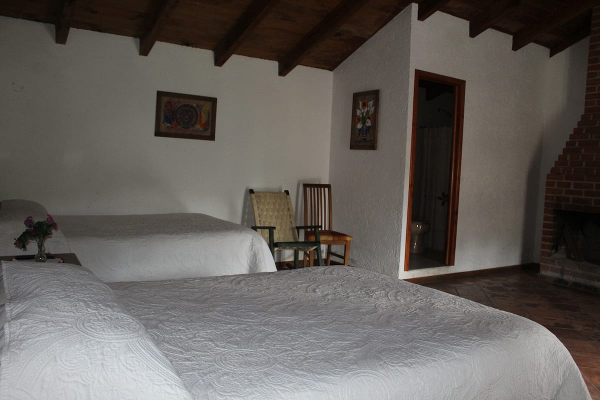 A bedroom with two beds, a chair, and a fireplace.
