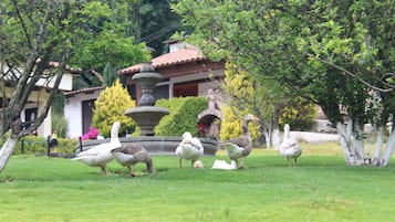 Ngoại thất