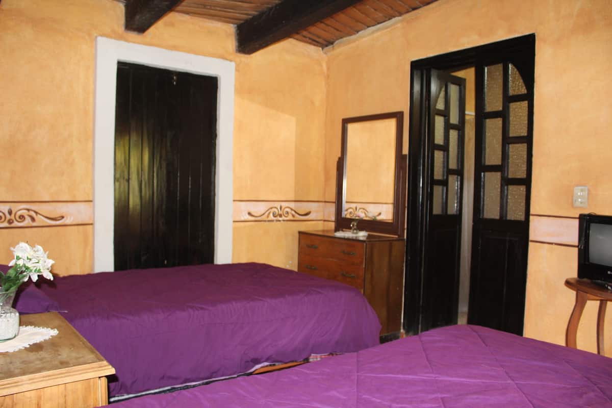 A bedroom with two beds, a dresser, a mirror, and a television.