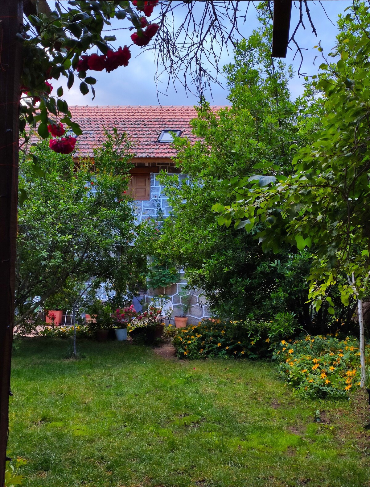 VĂ€rdens profilbild