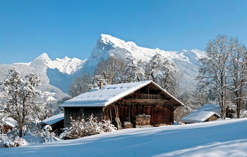 Apartment Rose des Alpes 3 for 4 people 4 ****