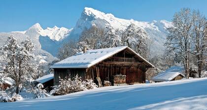 Apartment Rose des Alpes 3 for 4 people 4 ****