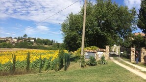 المنطقة المحيطة بالمنشأة