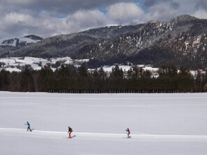 Snow and ski sports - Appartement Nr. 306 (Reit im Winkl)