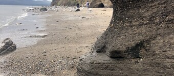 Bluebell Shepherds Hut, Menai
