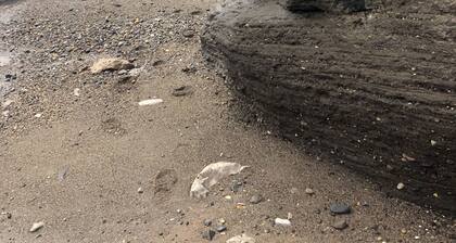 Shepherds Hut with Hot Tub, North Wales, Anglesey