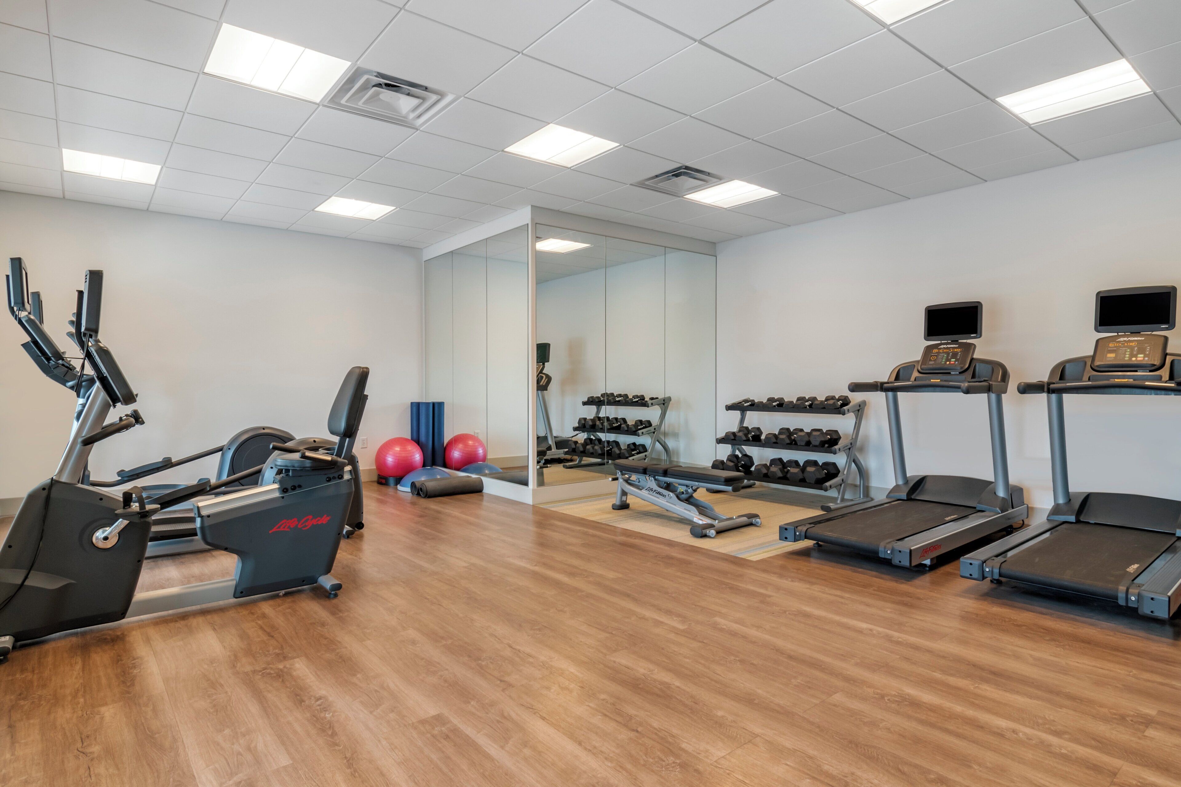 Un gimnasio con máquinas de cardio, pesas libres y pelotas de ejercicio.