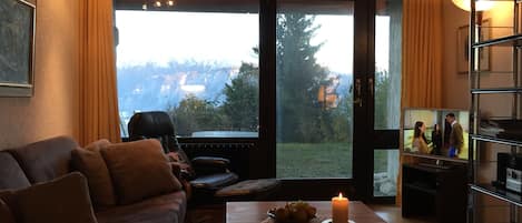 TV, DVD player, books, stereo