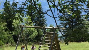 A wooden swing set in a grassy park area with trees in the background.