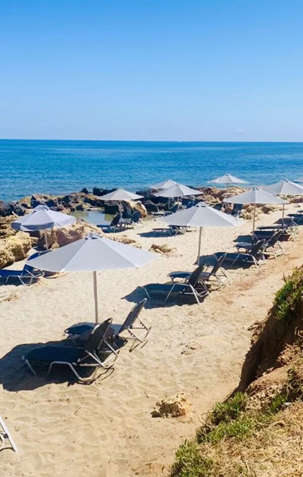Plage à proximité, bar de plage