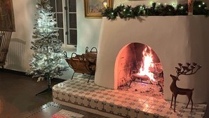 A cozy living room with a fireplace, a decorated Christmas tree, and a mantel with framed pictures.