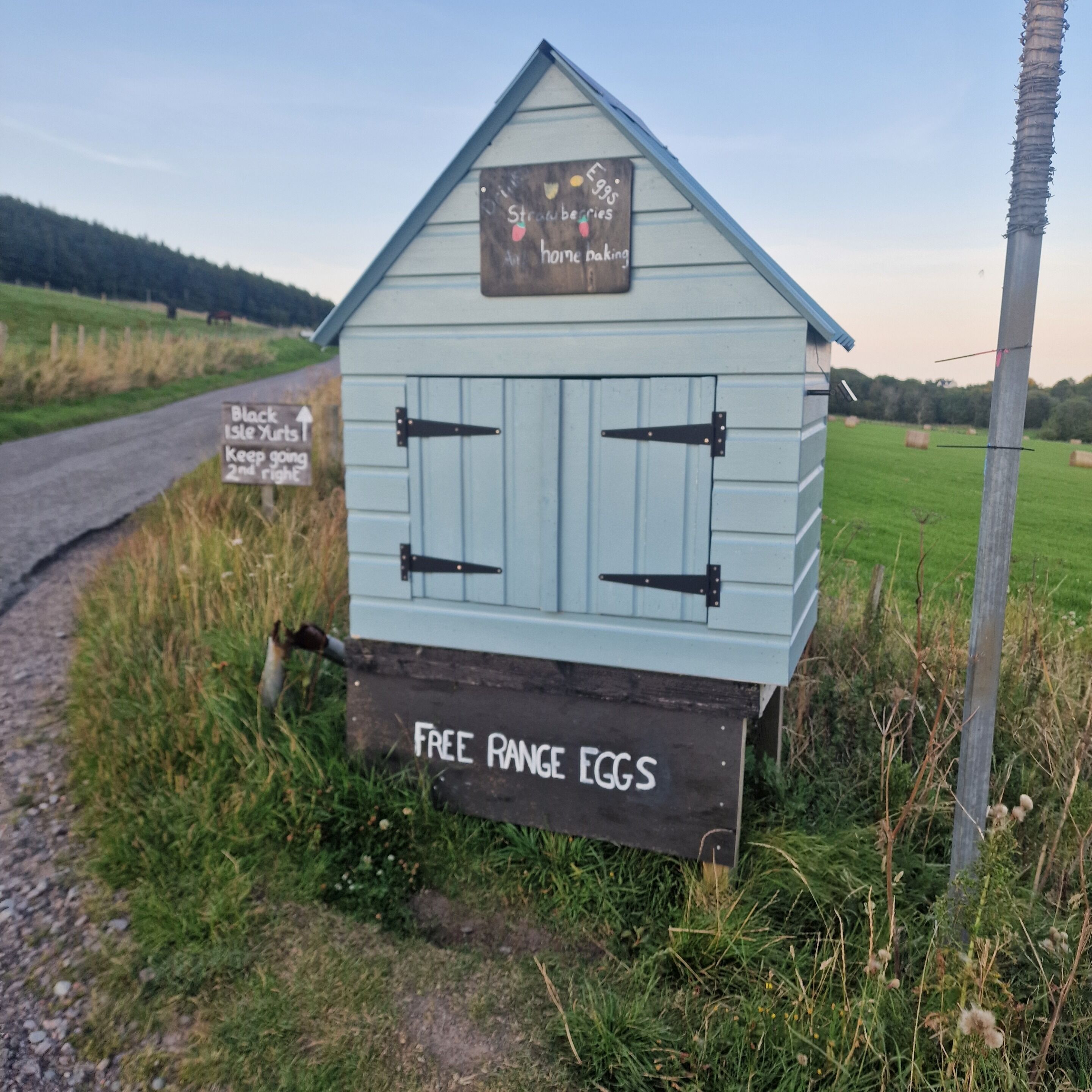 A small, light blue, wooden structure with a sign that reads 'Free Range Eggs' and another sign indicating 'Black Isle Yurts Keep going 2nd right'.