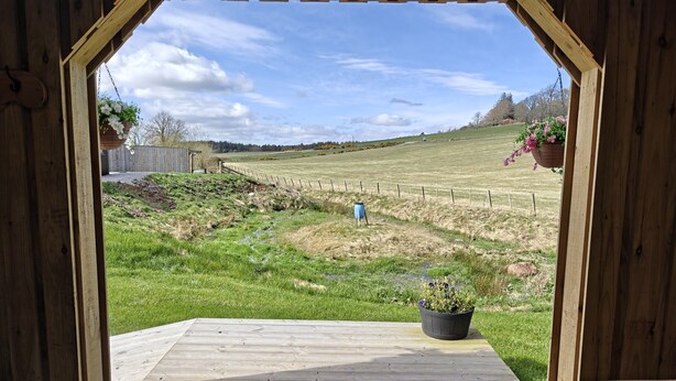 Une terrasse en bois offrant une vue sur un champ verdoyant et une boîte aux lettres bleue.