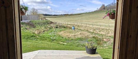 Comfort-Apartment, eigenes Bad, Blick auf den Innenhof (Geraldine Lodge) | Blick von der Unterkunft