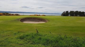 Comfort Cottage, Ensuite (Pleasant Point ) | Miscellaneous