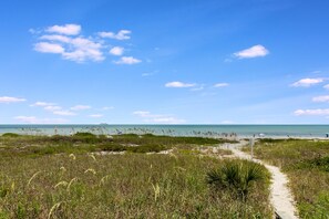 A beach path leading to the ocean with grassy dunes and a clear sky.