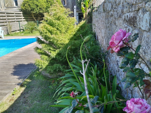 Piscine extérieure, piscine chauffée