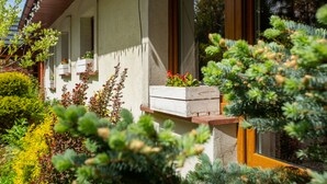 Una casa con marco de ventana de madera, pared exterior blanca y un pequeño banco de madera con una maceta.