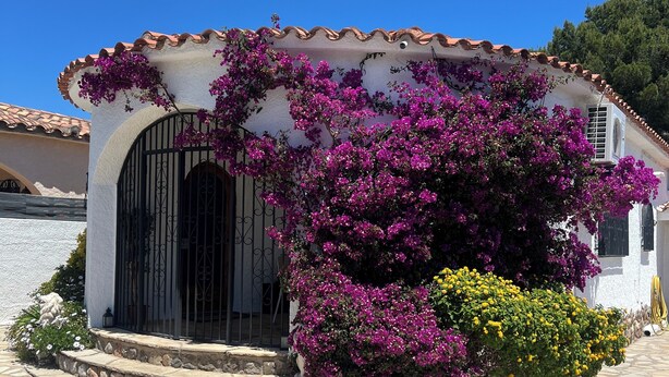 En hvid bygning med et tag af fliser, indgang med brosten og blomstrende lilla bougainvillea.