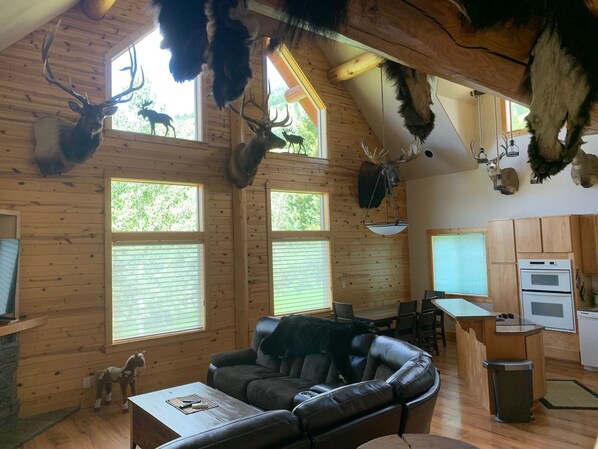 Smart TV, fireplace