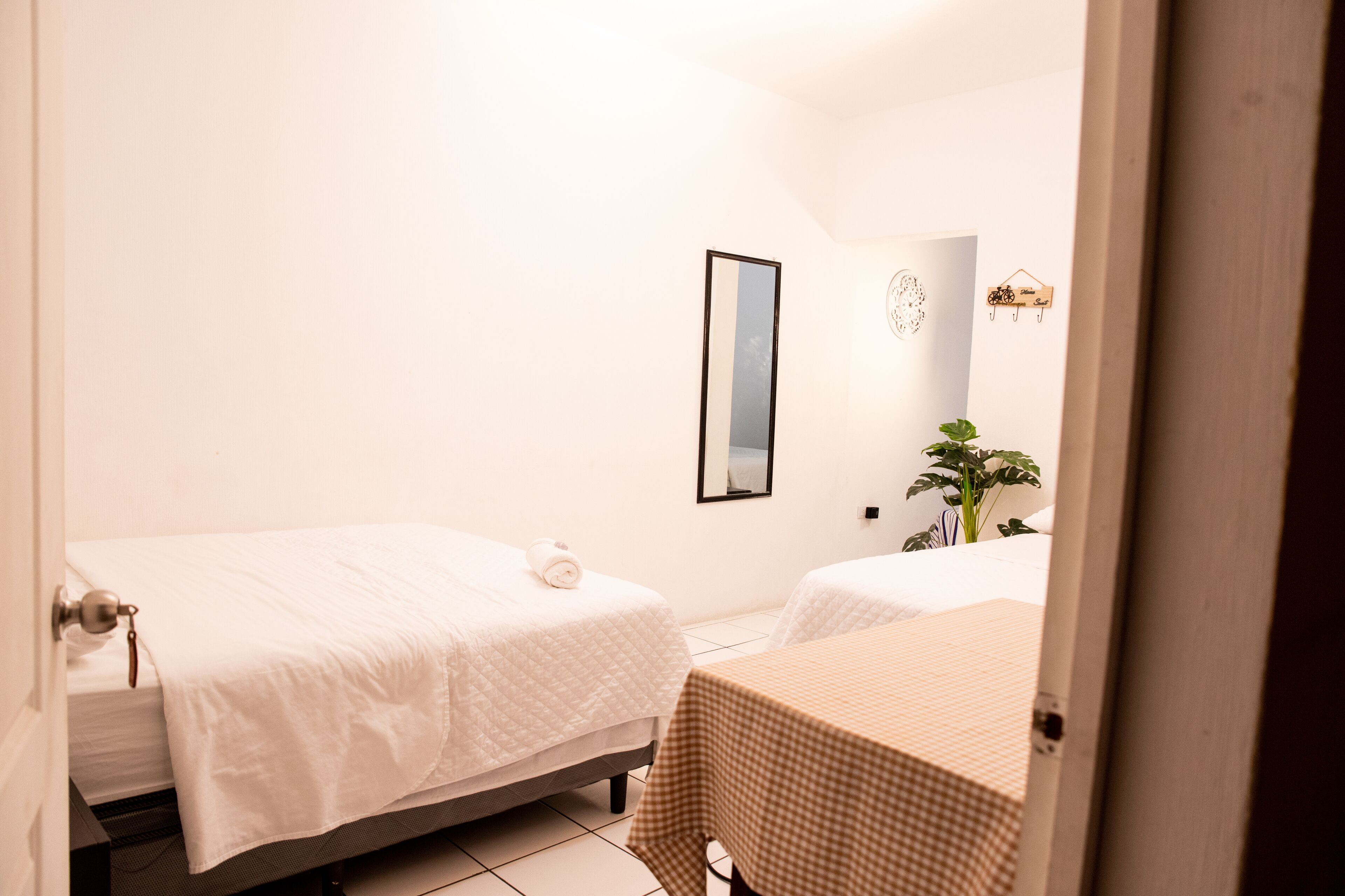 A bedroom with two beds, a mirror, and a small plant.