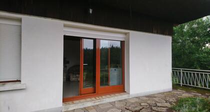 Le Reposou Chalet in the heart of the Plateau des Mille Etangs Regional Park of Ballons