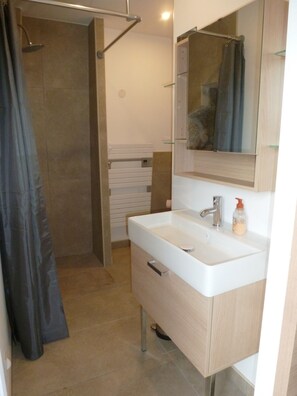 Shower, hair dryer, soap, toilet paper