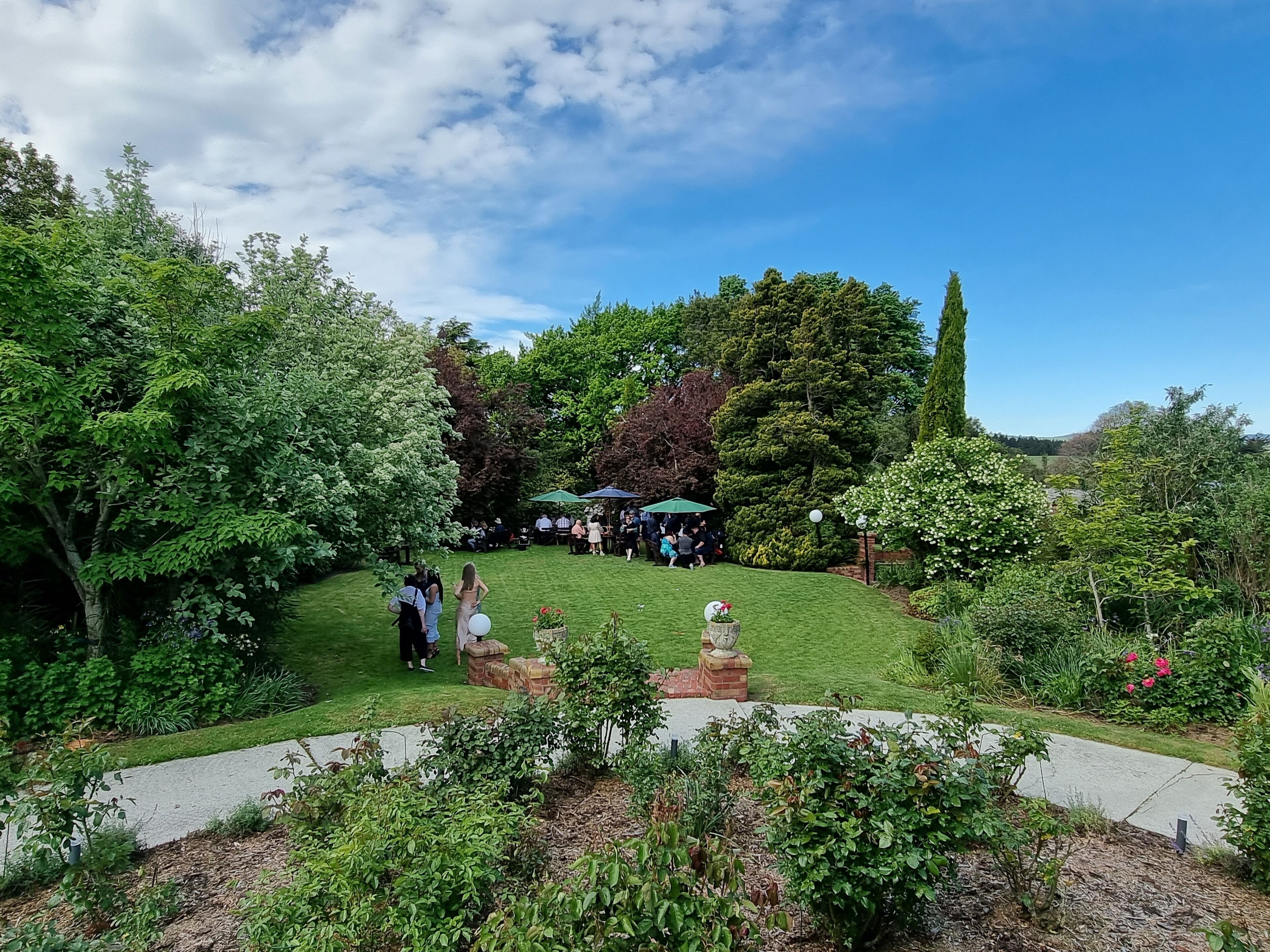 A lush garden with a paved walkway, surrounded by dense greenery and trees.
