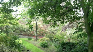 A garden with a variety of plants and a grassy path. - The Fern & Thistle Boutique Accommodation - Drinks, Hotpool, Sauna (Benhar)