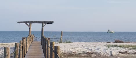 Plage, chaises longues