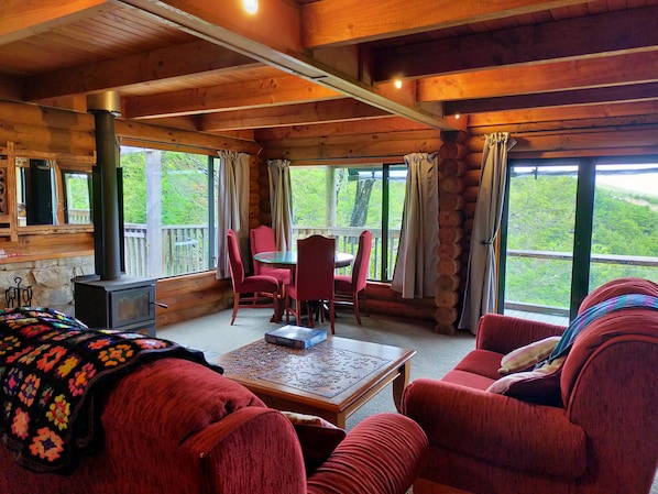 Flat-screen TV, fireplace, DVD player, books