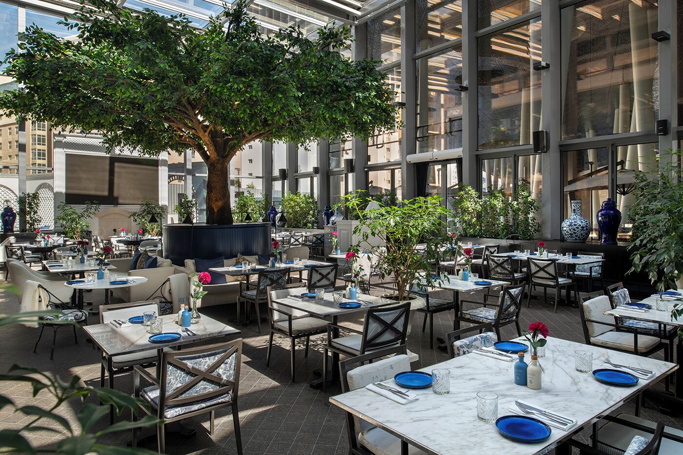 An outdoor dining area with tables and chairs, a large tree, and a view of the cityscape through large windows.