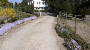 Un chemin de gravier mène à un bâtiment blanc à la façade symétrique, entouré d’arbres à feuilles persistantes et de plantes à fleurs.