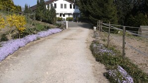 Ein Kiesweg führt zu einem weißen Gebäude mit einem Satteldach, umgeben von Bäumen und violetten Blumen.
