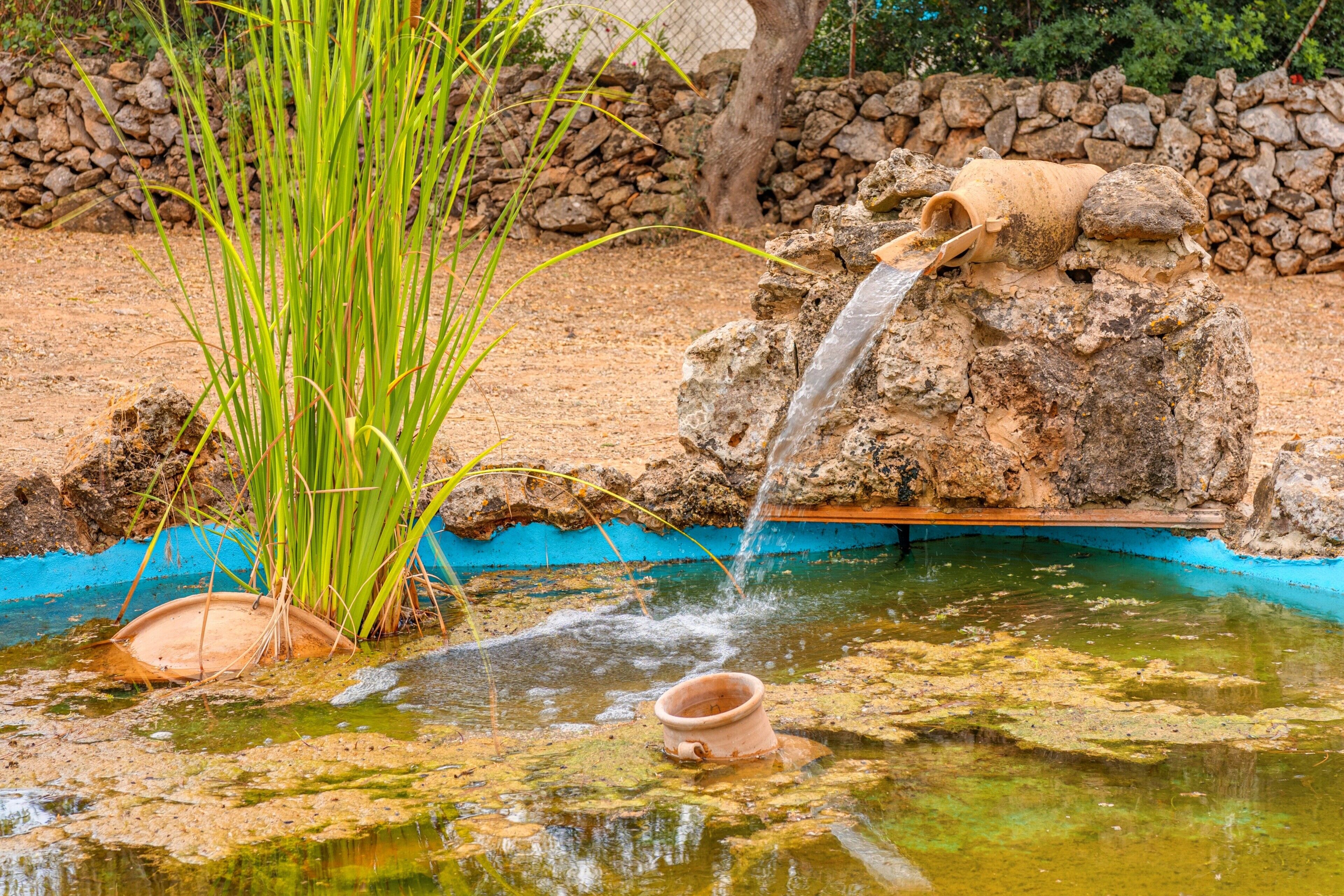 Terrein van de accommodatie