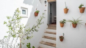 A white wall with a window, a staircase, and several potted plants.