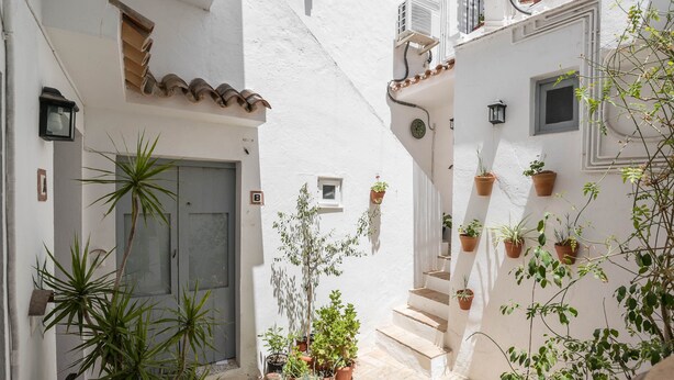 A narrow courtyard with potted plants, a door, and a staircase.