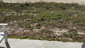 A beach view with a concrete patio, a white bench, and a green surfboard. - Villa A2, Beach front, ground level! (Eastpoint)