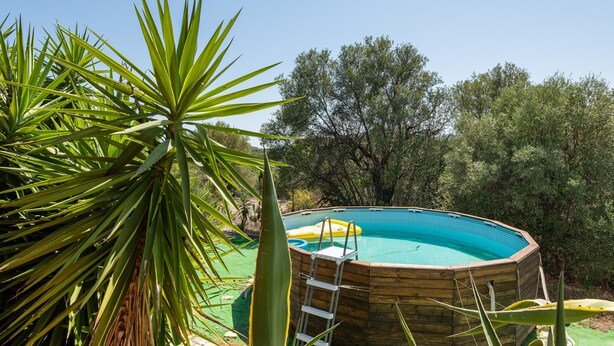 Une piscine extérieure entourée d’arbres et de plantes.